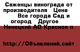 Саженцы винограда от производителя › Цена ­ 800 - Все города Сад и огород » Другое   . Ненецкий АО,Красное п.